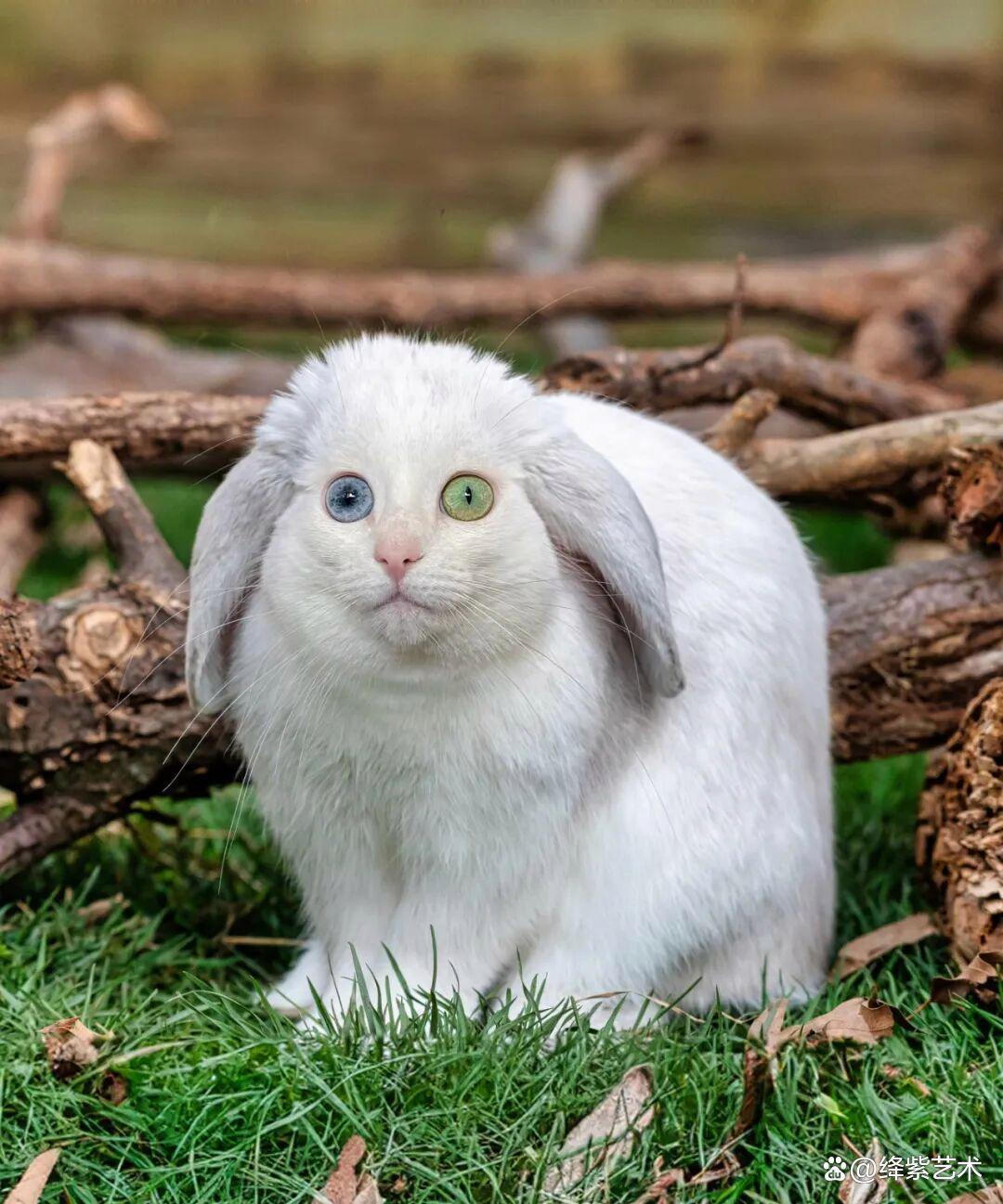 全球云服务器价格大揭秘:如何用最低成本撬动最大算力?